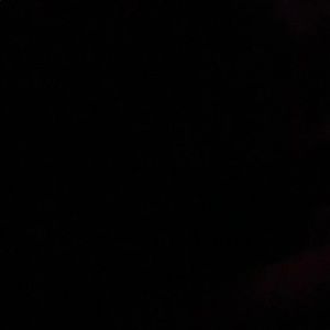 Meet your Posher, Hector